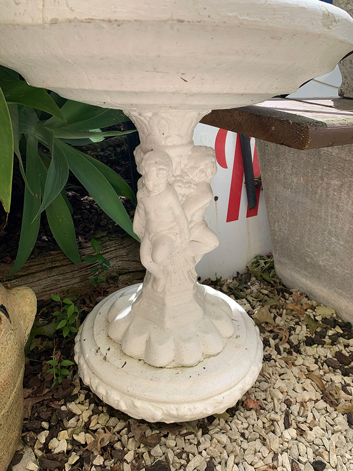 Bird Bath