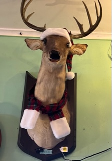 Singing deer 2025 head