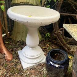 Large-bird-bath