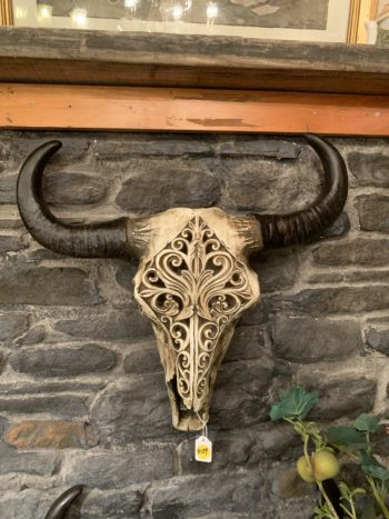 Decorative Bull skull : white