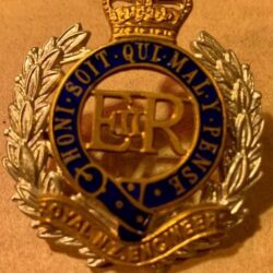 RNZE brass and enamel hat badge